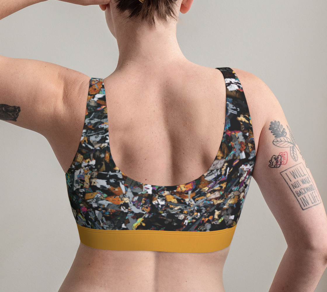 D'Orbigny Angrite Achondrite Meteorite scoop bralette