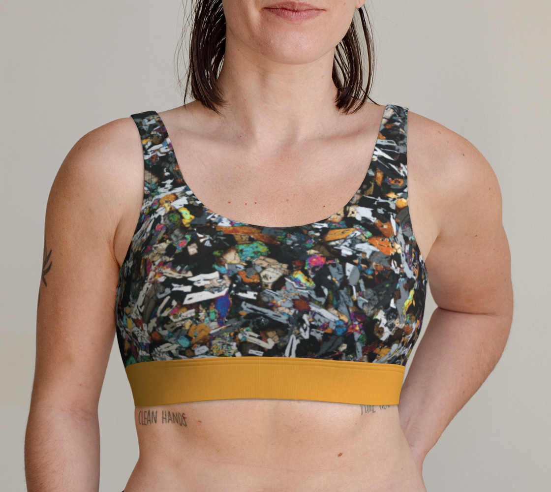 D'Orbigny Angrite Achondrite Meteorite scoop bralette