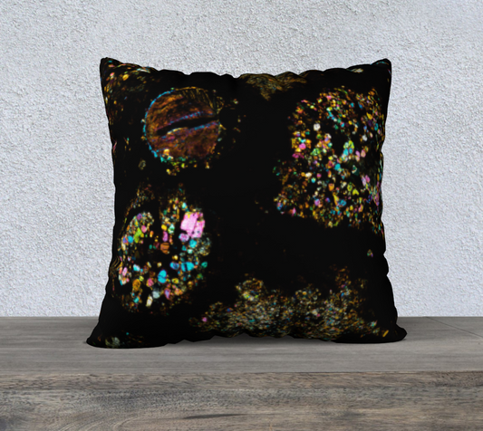 NWA 3118 Carbonaceous Chondrite Meteorite 22"x22" pillow case - AOA