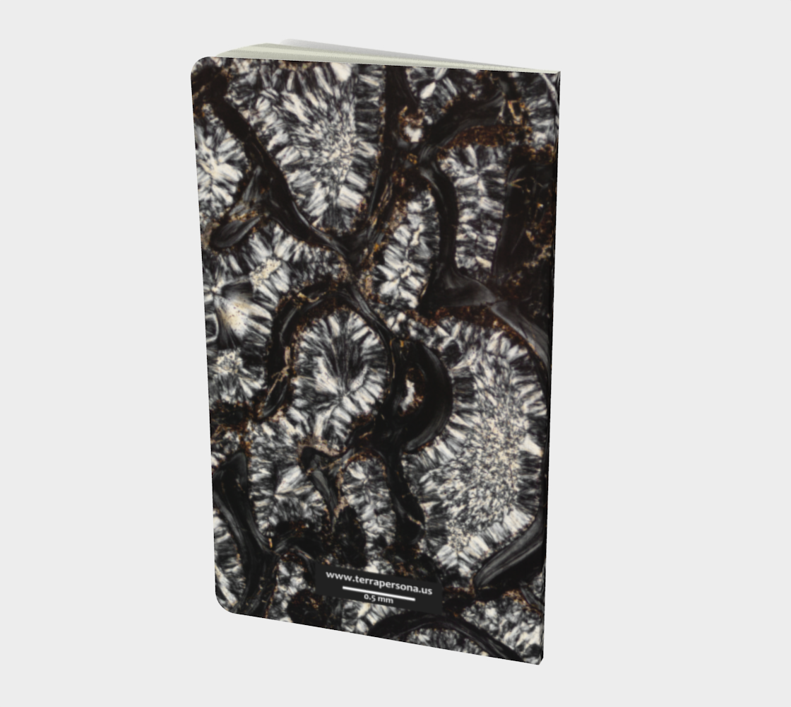 Dinosaur Bone softcover journal 5" x 8.25"