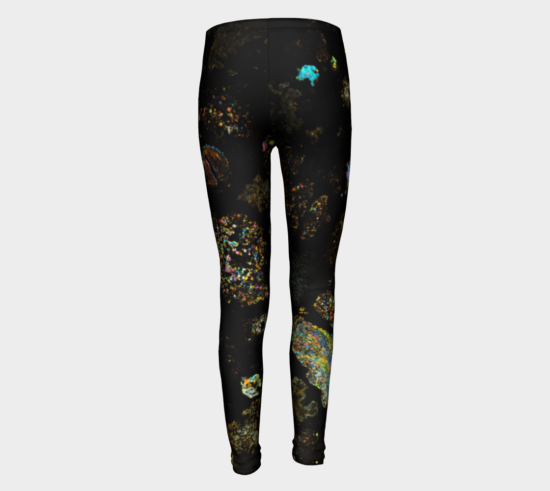 NWA 3118 Carbonaceous Chondrite Meteorite youth leggings