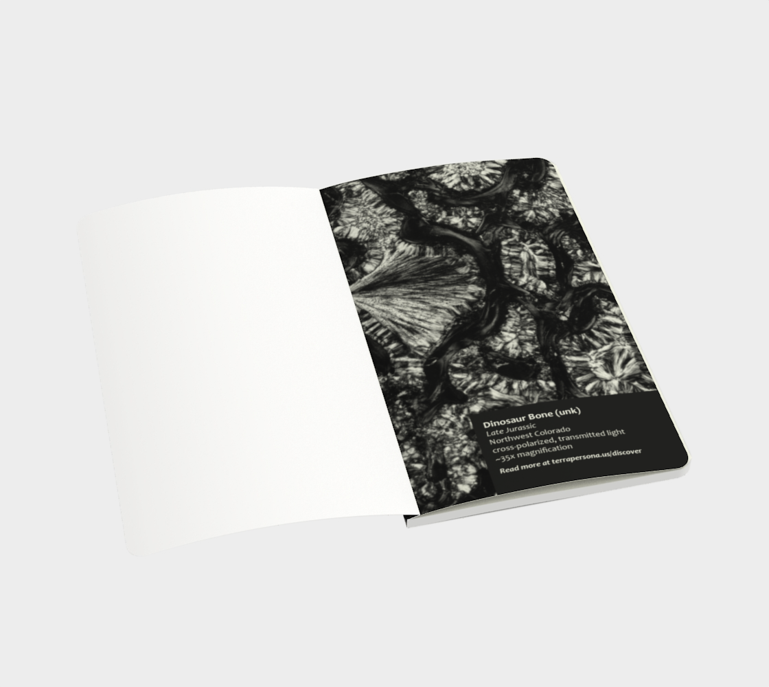 Dinosaur Bone softcover journal 5" x 8.25"