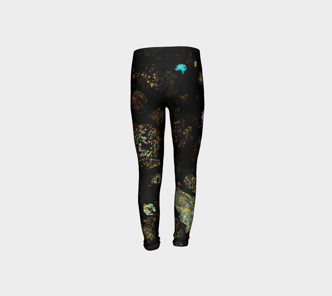 NWA 3118 Carbonaceous Chondrite Meteorite youth leggings