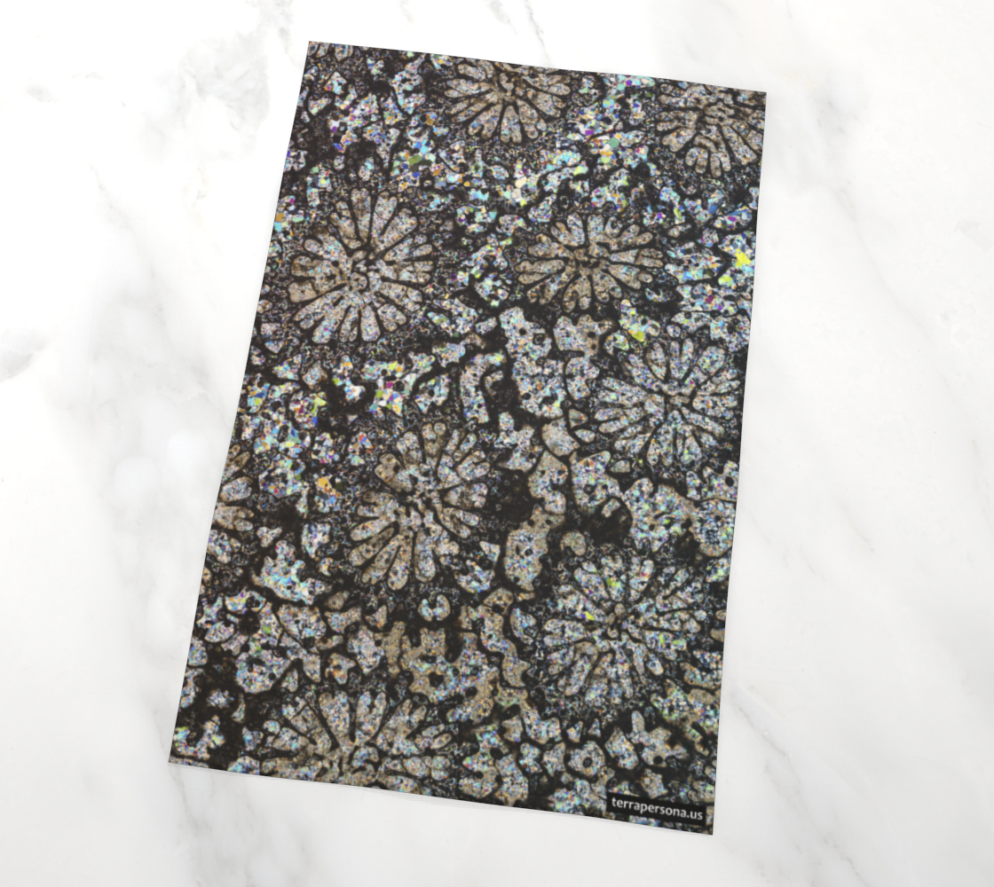 Fossil Coral tea towel