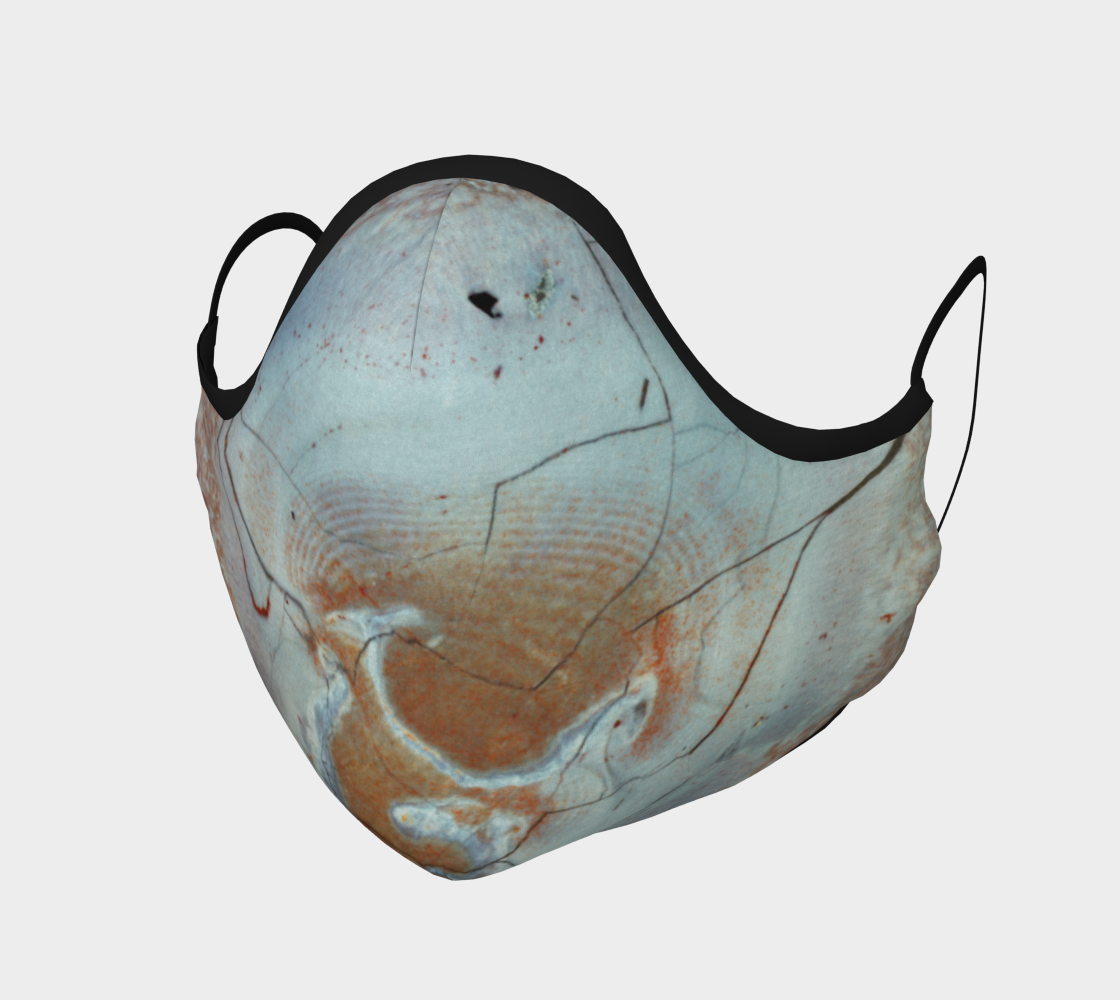 Bird's Eye Rhyolite 'Dream' face mask