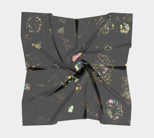 NWA 3118 Carbonaceous Chondrite Meteorite square scarf - AOA