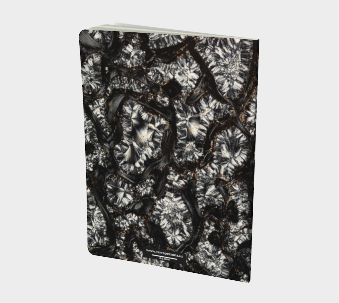 Dinosaur Bone softcover journal 7.25" x 10"