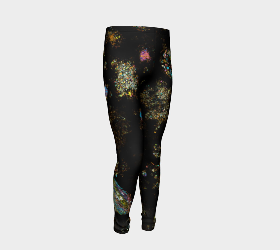 NWA 3118 Carbonaceous Chondrite Meteorite youth leggings