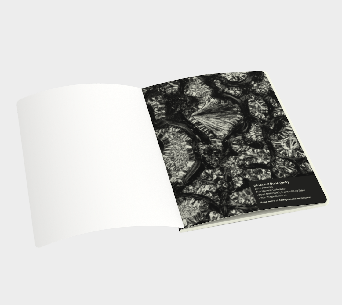 Dinosaur Bone softcover journal 7.25" x 10"