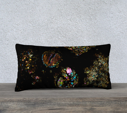 NWA 3118 Carbonaceous Chondrite Meteorite 24"x12" pillow case - AOA