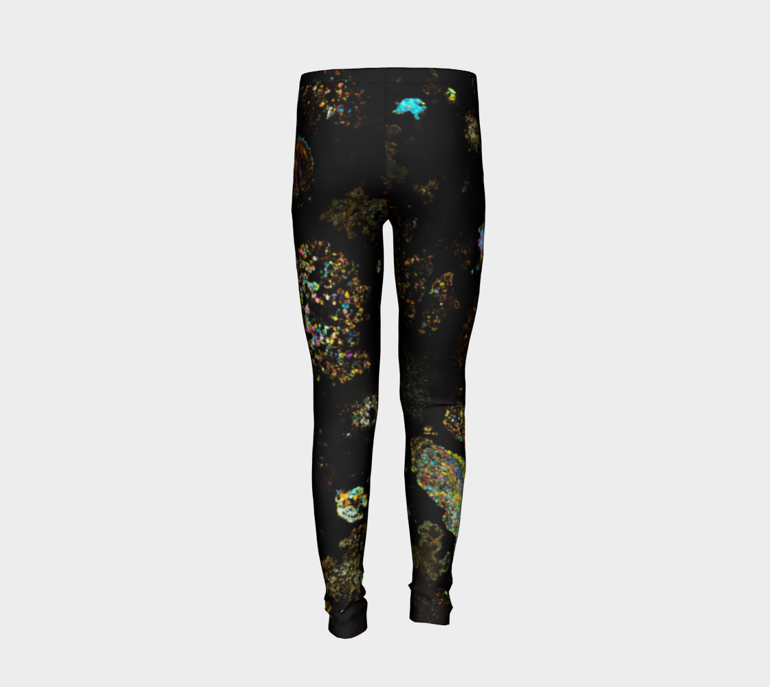 NWA 3118 Carbonaceous Chondrite Meteorite youth leggings