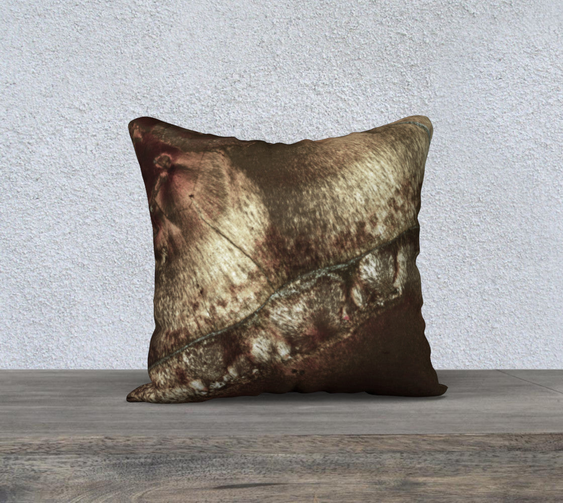 Bird's Eye Rhyolite 'Amazon Warrior' 18"x18" pillow case