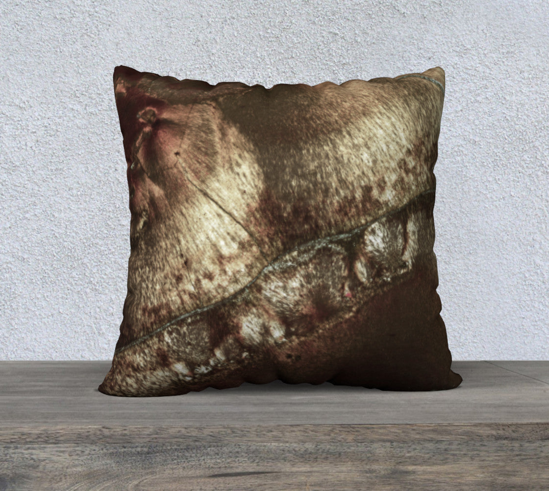 Bird's Eye Rhyolite 'Amazon Warrior' 22"x22" pillow case